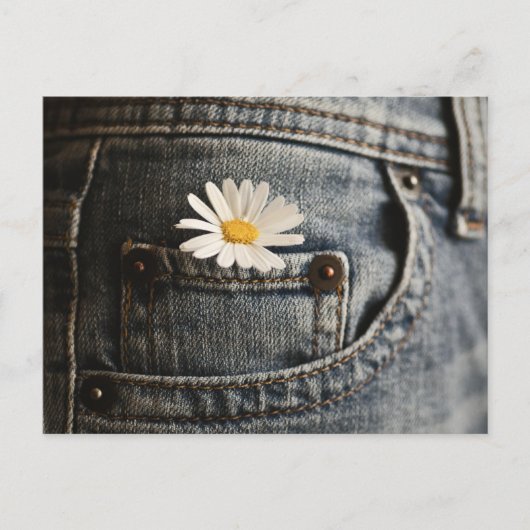 Flowers | Daisy in Jeans Pocket Briefkaart (Voorkant)