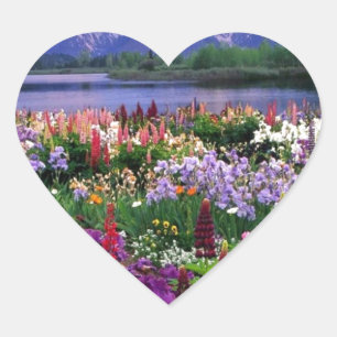 Flowers Field Hart Sticker
