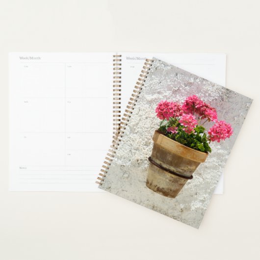 Flowers | Geranium In Flower in Pot (Devant avec enveloppe)