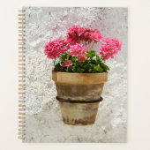 Flowers | Geranium In Flower in Pot (Devant)
