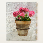 Flowers | Geranium In Flower in Pot (Dos)