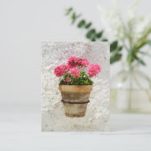 Flowers | Geranium In Flower in Pot Briefkaart (Staand voorkant)
