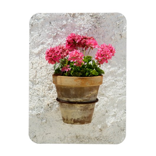 Flowers | Geranium In Flower in Pot Magneet (Verticaal)