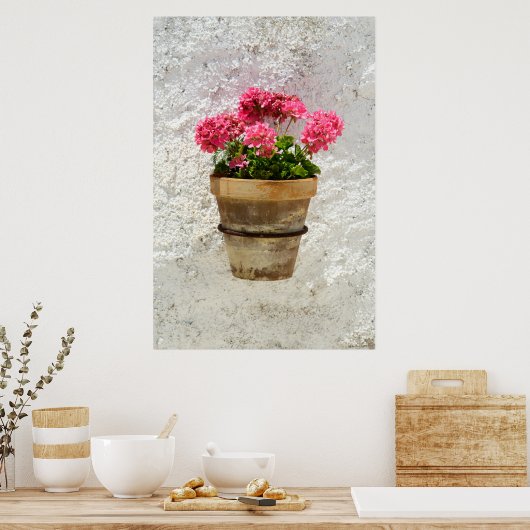Flowers | Geranium In Flower in Pot Poster (Keuken)
