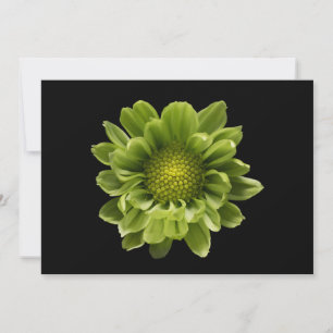 Flowers Green Chrysanthemum Bedankkaart