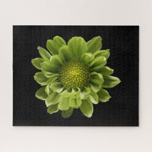 Flowers   Green Chrysanthemum Legpuzzel