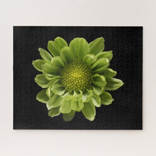 Flowers | Green Chrysanthemum Legpuzzel (Horizontaal)