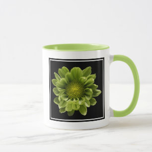 Flowers Green Chrysanthemum Mok