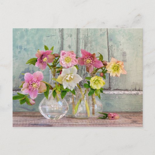 Flowers | Hellebores in Vases Briefkaart (Voorkant)