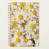Flowers (homonymie) | Bunch of Chamomiles (Devant)