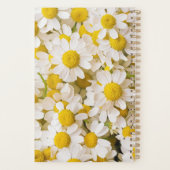 Flowers (homonymie) | Bunch of Chamomiles (Dos)