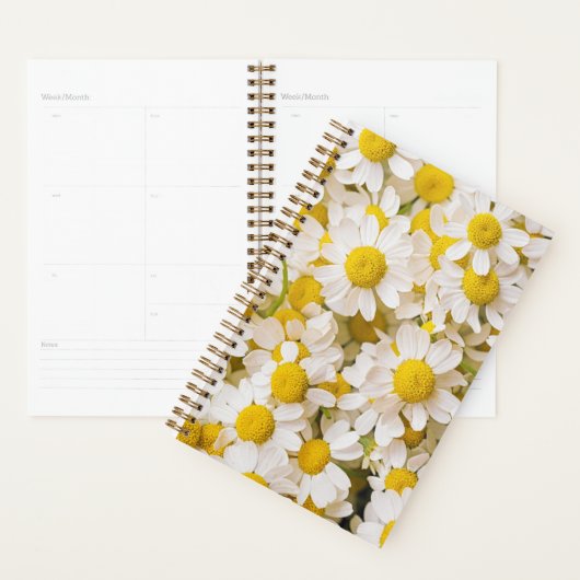 Flowers (homonymie) | Bunch of Chamomiles (Devant avec enveloppe)