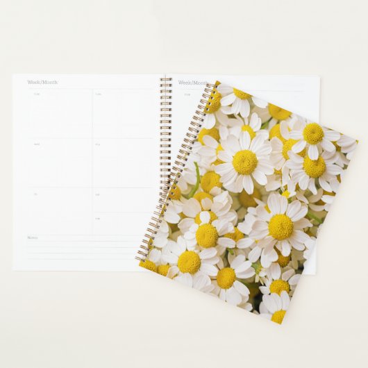 Flowers (homonymie) | Bunch of Chamomiles (Devant avec enveloppe)