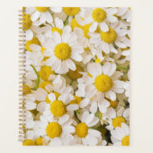 Flowers (homonymie) | Bunch of Chamomiles (Devant)