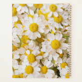 Flowers (homonymie) | Bunch of Chamomiles (Dos)