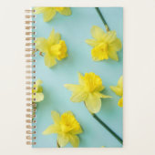 Flowers (homonymie) | Daffodils (Devant)