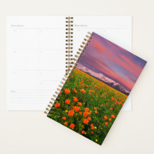 Flowers (homonymie) Fayot Field Snowcapped Mount