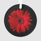 Flowers (homonymie) | Gerbera (dos)