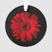Flowers (homonymie) | Gerbera (devant)