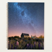 Flowers (homonymie) | Lupines Blooming Lake Tekapo (Devant)