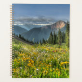 Flowers (homonymie) | Wildflowers Silverton Colora (Devant)