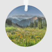 Flowers (homonymie) | Wildflowers Silverton Colora (dos)