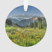 Flowers (homonymie) | Wildflowers Silverton Colora (devant)