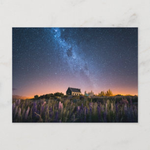 Flowers Lupines Blooming Lake Tekapo New Zealand Briefkaart