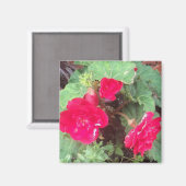 Flowers Magnet Magneet (Voorkant / Achterkant)