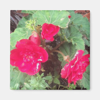 Flowers Magnet Magneet