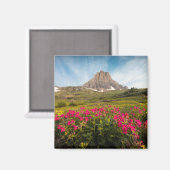 Flowers Montana's Glacier National Park Magneet (Voorkant / Achterkant)