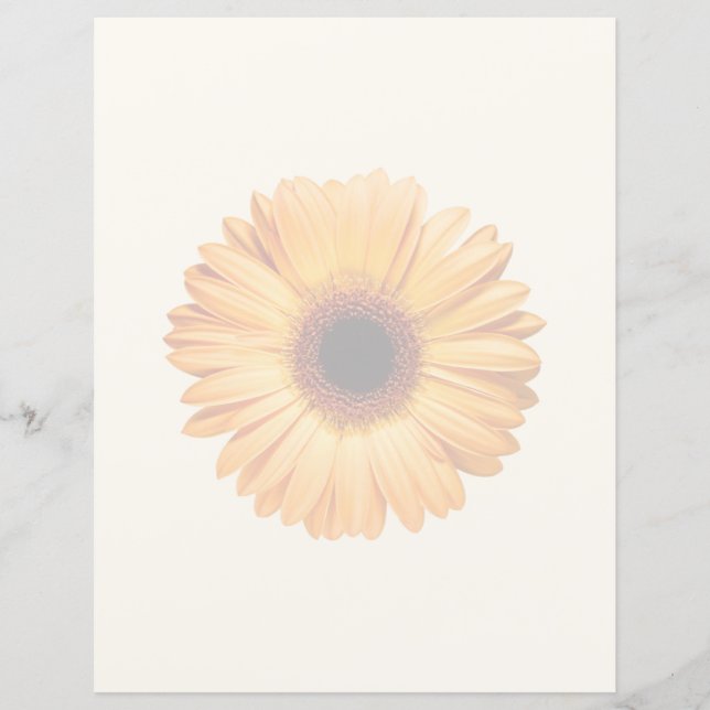 Flowers Orange Gerbera (Voorkant)