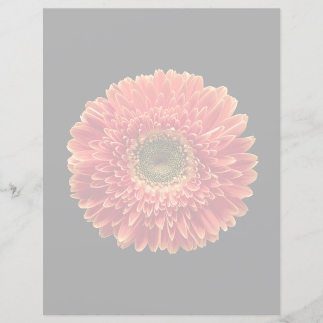 Flowers Orange Gerbera Daisy (Voorkant)