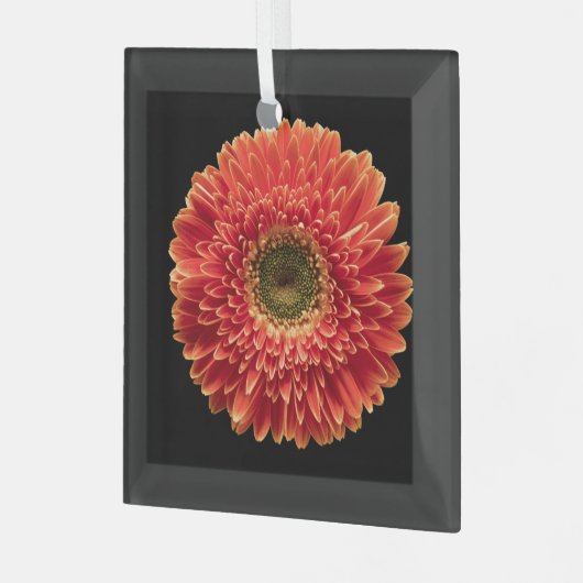 Flowers Orange Gerbera Daisy Glas Ornament (Voorkant links)
