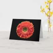 Flowers Orange Gerbera Daisy Kaart (Gele Bloem)