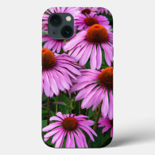 Flowers   Pink Coneflower Garden iPhone 13 Hoesje