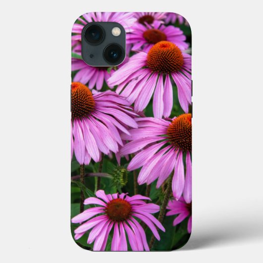 Flowers | Pink Coneflower Garden Case-Mate iPhone Case (Achterkant)
