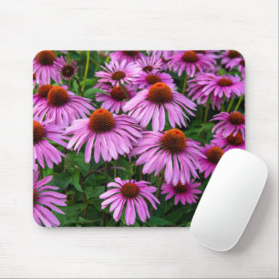 Flowers   Pink Coneflower Garden Muismat