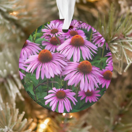 Flowers | Pink Coneflower Garden Ornament (Boom)