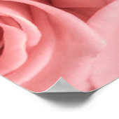 Flowers | Pink Roses Poster (Hoek)