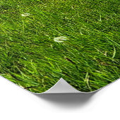 Flowers Poster (Hoek)