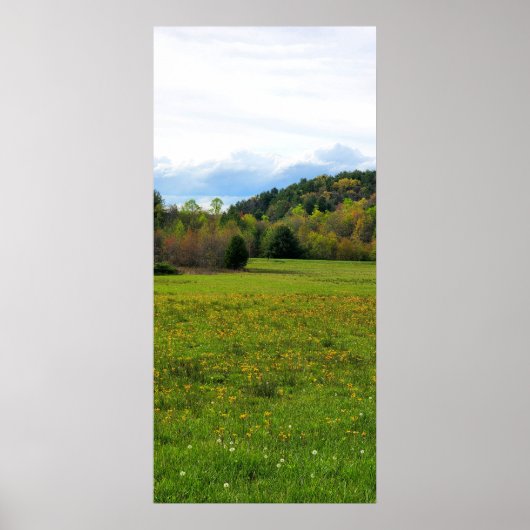 Flowers Poster (Voorkant)