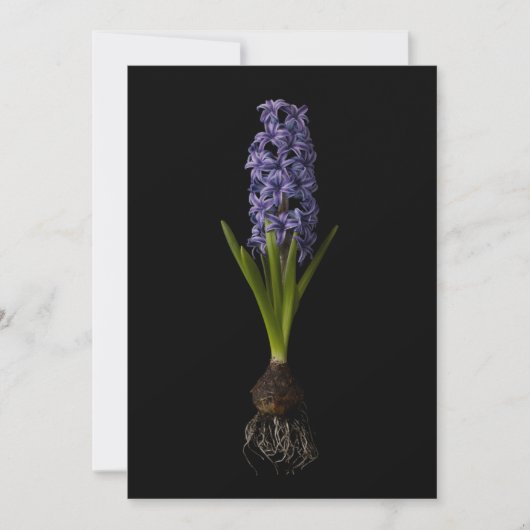 Flowers | Purple Hyacinth Bulb Bedankkaart (Voorkant)
