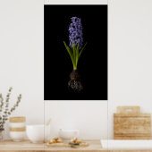 Flowers | Purple Hyacinth Bulb Poster (Keuken)