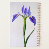 Flowers | Purple Iris Flower (Dos)