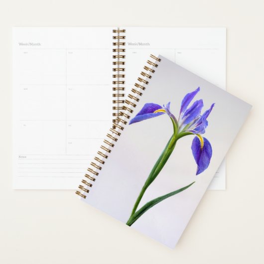 Flowers | Purple Iris Flower (Devant avec enveloppe)