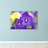 Flowers | Purple Pansie Canvas Afdruk (Insitu (Houten vloer))