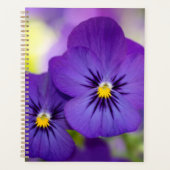 Flowers | Purple Pansies (Devant)
