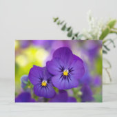 Flowers | Purple Pansies Bedankkaart (Staand voorkant)