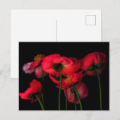 Flowers | Red Poppies Briefkaart (Voorkant / Achterkant)
